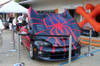 11spider_6.jpg
